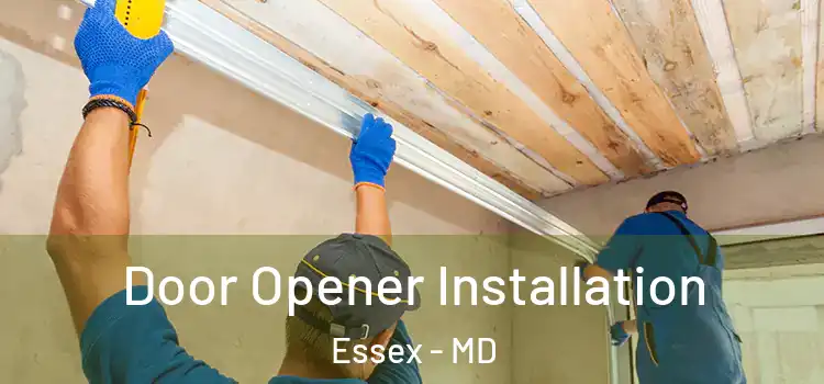 Door Opener Installation Essex - MD