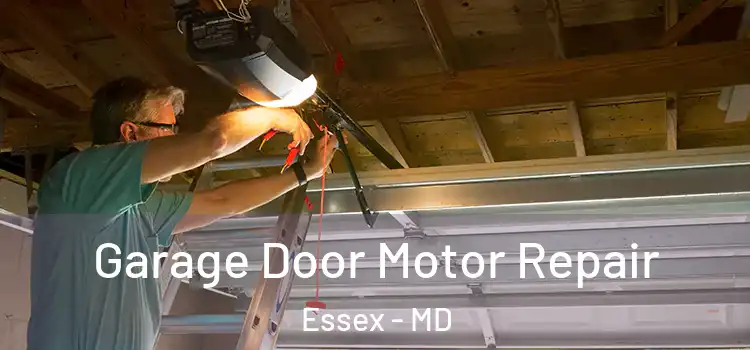  Garage Door Motor Repair Essex - MD