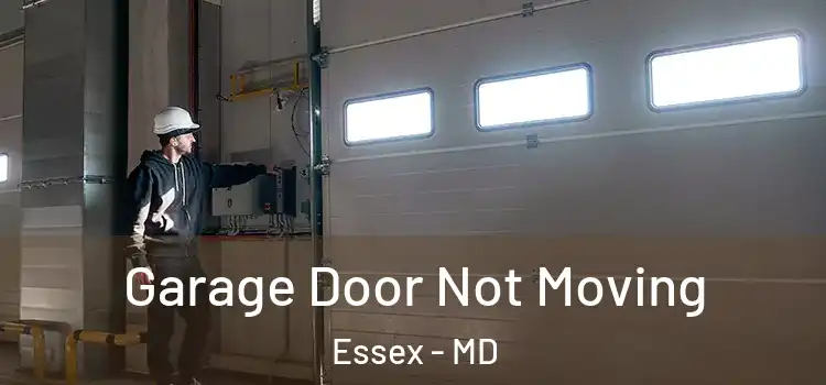  Garage Door Not Moving Essex - MD