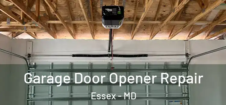  Garage Door Opener Repair Essex - MD