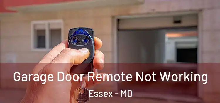  Garage Door Remote Not Working Essex - MD