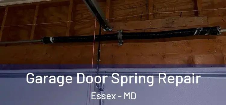  Garage Door Spring Repair Essex - MD