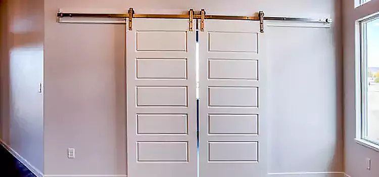Glass Barn Door with Installation Hardware Kit Essex