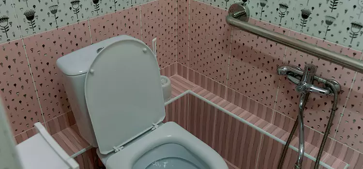 Meeting Diverse Needs With Accessible Restroom Solutions in Essex, MD