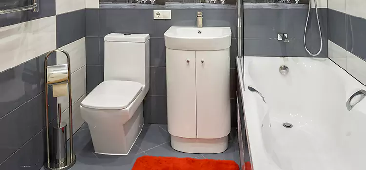 Hansgrohe Shaving Mirror Essex